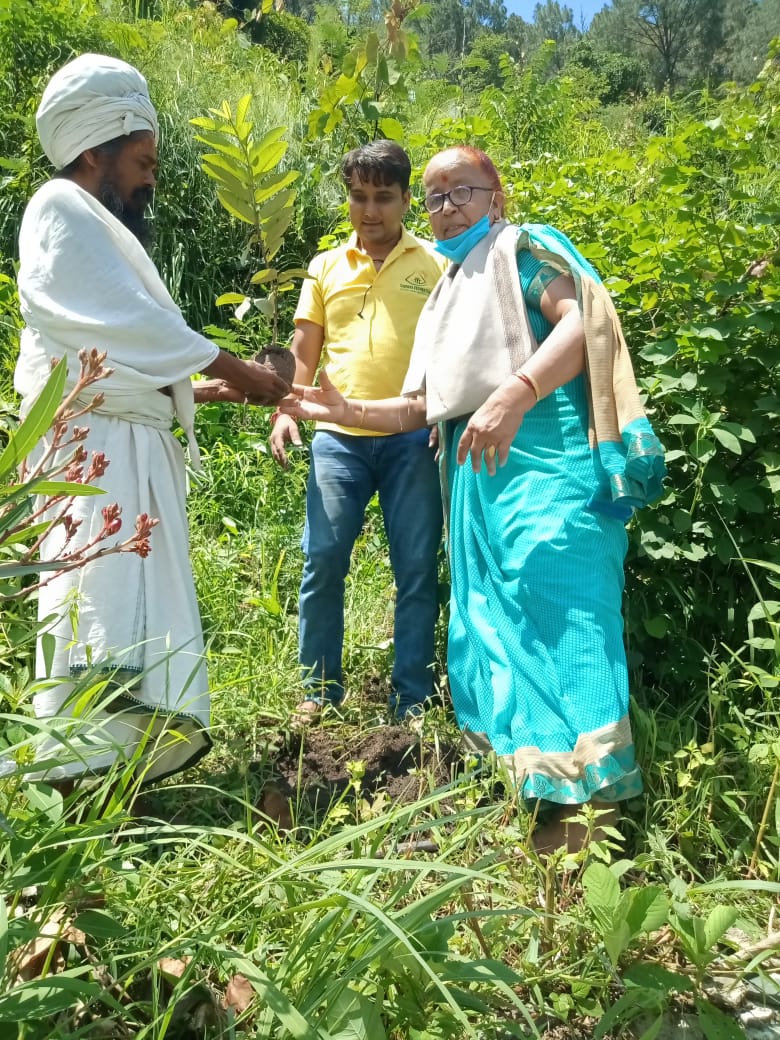 Tree Plantation During Uttarakhandi Lok Parv - Harela - 2021